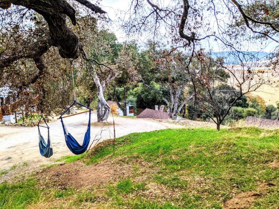 The Luminous Lodge-Remodeled Cabin W/ Valley Views Santa Ysabel Exterior foto